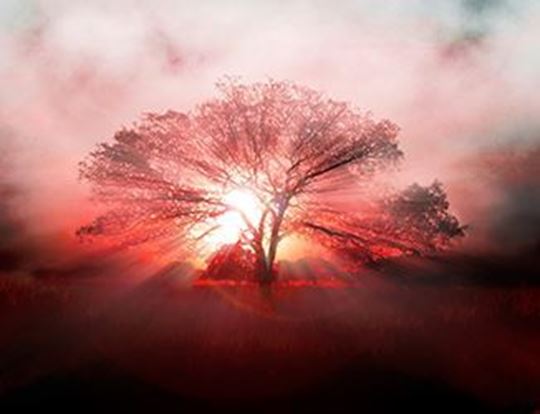 emociones-y-espiritualidad-4-800x503