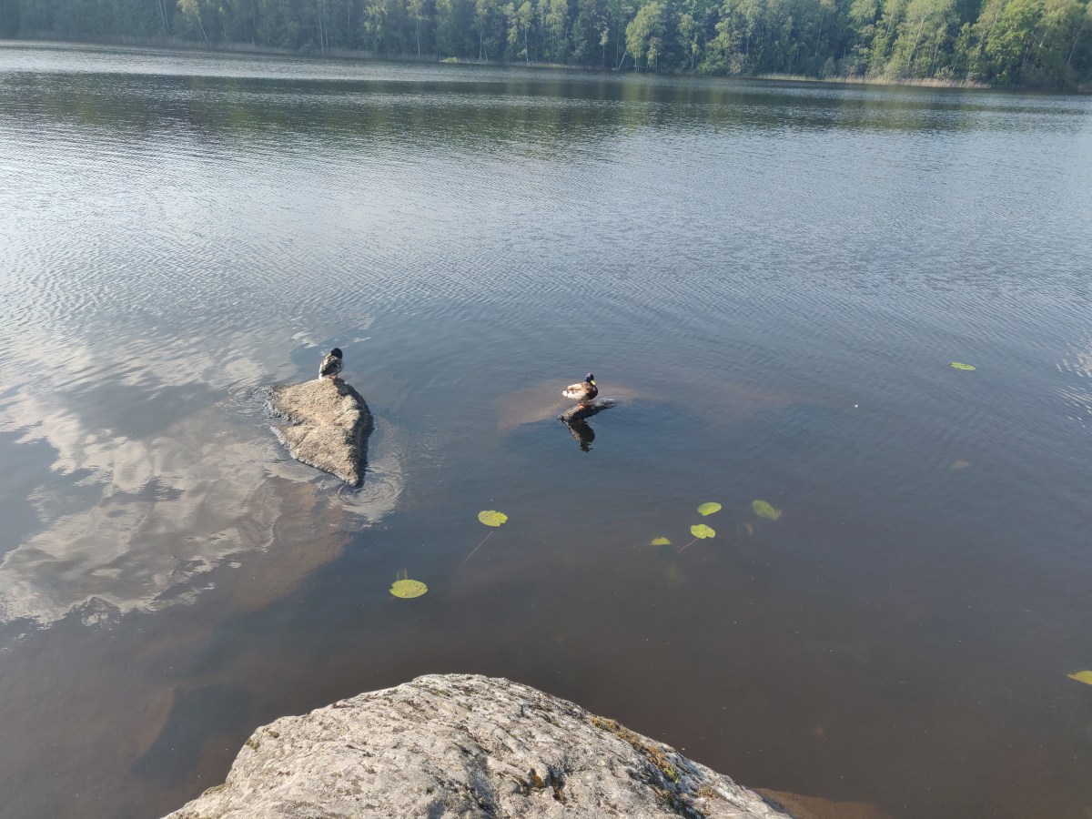 Everything in due&nbsp;time