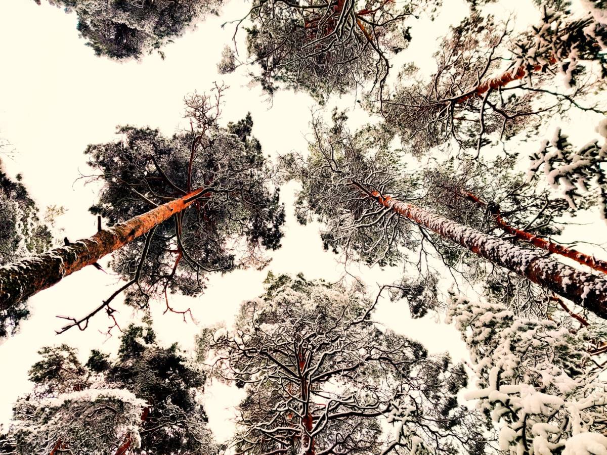 Is there such thing as “truth”?