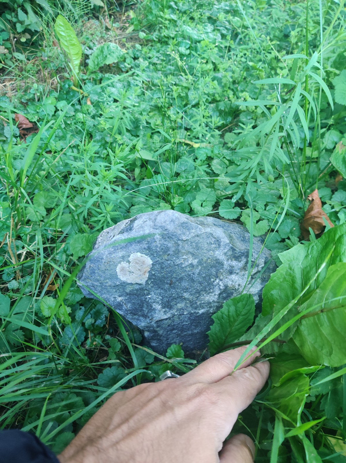 Contemplating about this&nbsp;experience