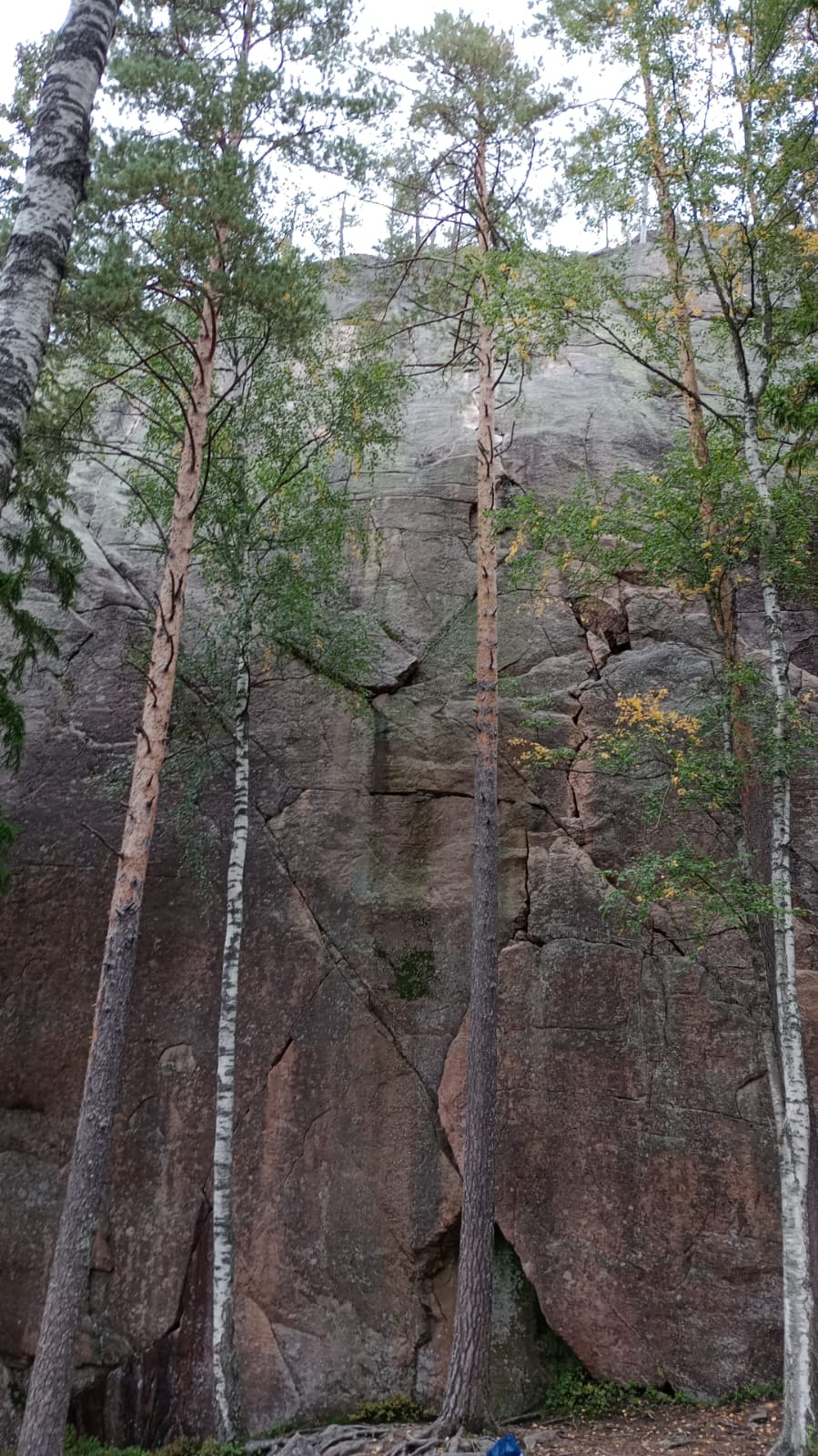 What really changes when we&nbsp;evolve?