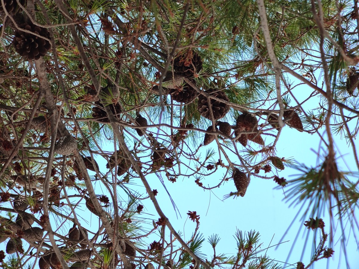 Is there such thing as&nbsp;happiness?