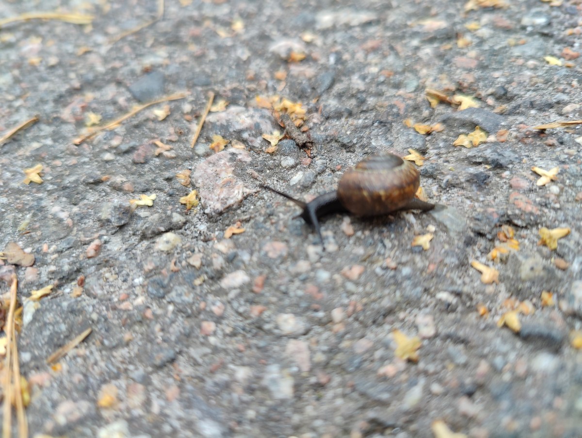 It feels so&nbsp;lonely