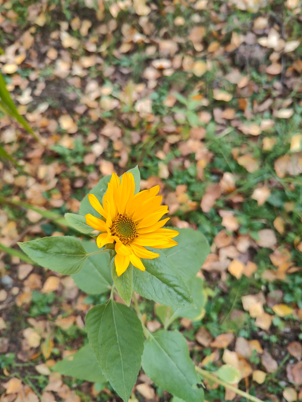 Let’s start with the&nbsp;basics