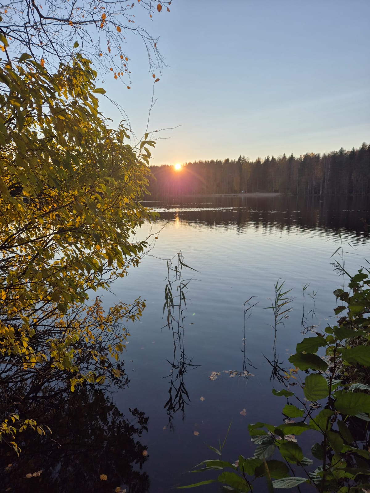 About demons (part&nbsp;2)